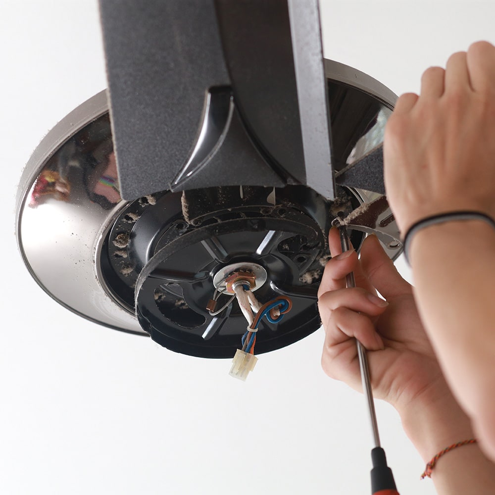 Domestic electrician installing a ceiling fan.